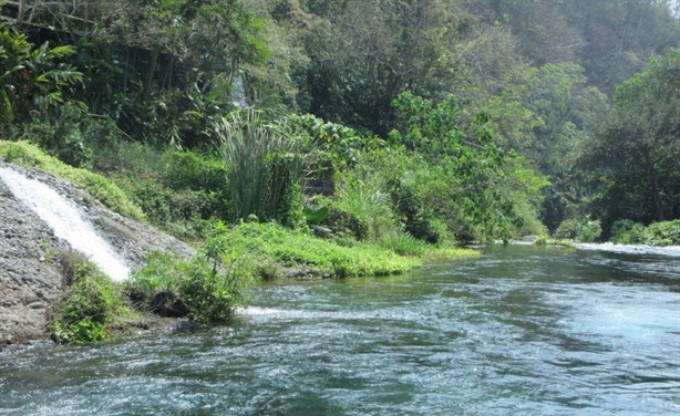 Estos son los sitios turísticos más cerca de Xalapa que puedes visitar