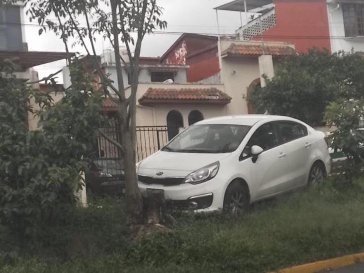 Se estampa contra un tronco en avenida de Xalapa