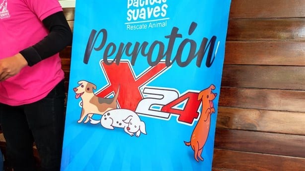 Anuncian Perrotón X24 en Xalapa; checa cómo participar