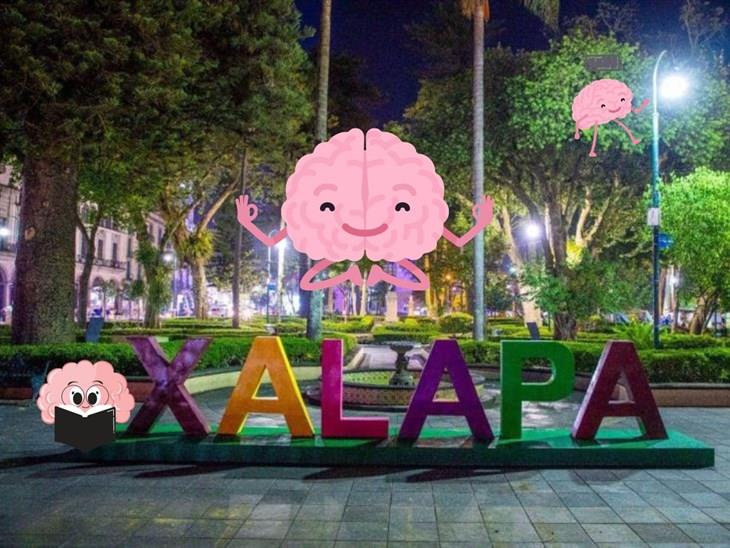 Psicólogos gratuitos en Xalapa; promueve tu bienestar emocional