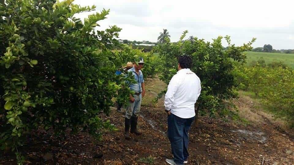 Preocupación por oleada de robos en zona rural  de Misantla