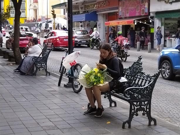 ¿Por qué aumentó tanto el precio de las flores amarillas en Xalapa?