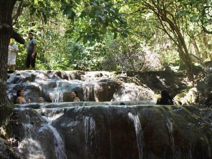 Poza Azul, paraíso en el bosque cerca de Xalapa