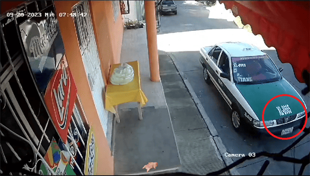 Se roban bola de masa en calles de Xalapa ¡Nada respetan! (+Video)