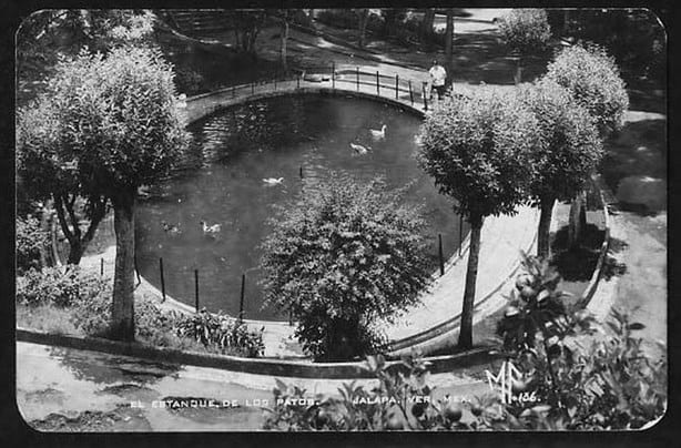 El Parque Juárez; un emblema en la historia de Xalapa