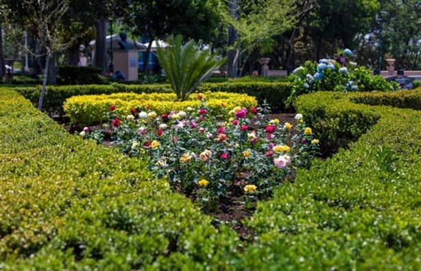 El Parque Juárez; un emblema en la historia de Xalapa