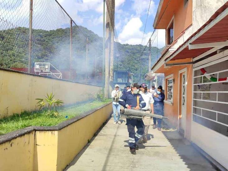 Apoya CROM con fumigaciones en Orizaba