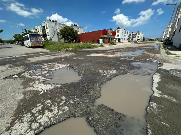 Palma Real y Lomas 4, fraccionamientos olvidados en Veracruz