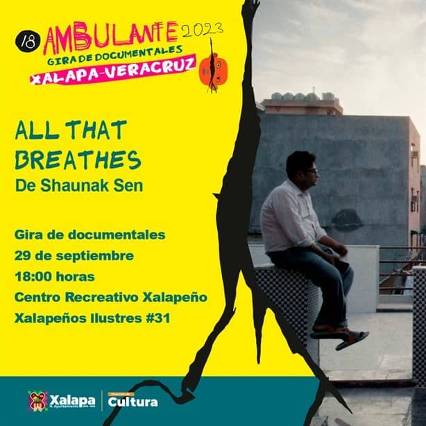 Llega ‘Ambulante’ a Xalapa, festival de documentales fundado por Gael García y Diego Luna
