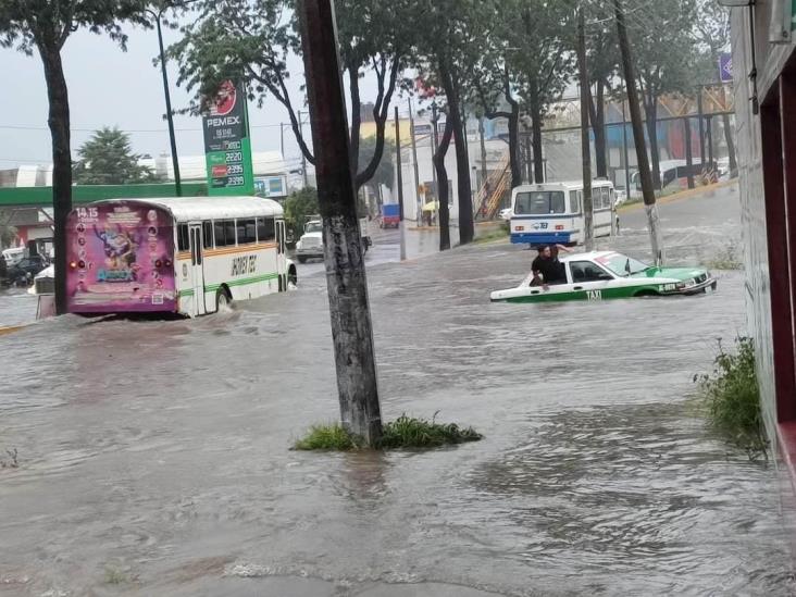 Fuerte aguacero causa inundaciones en Xalapa; ¿metiste la ropa?