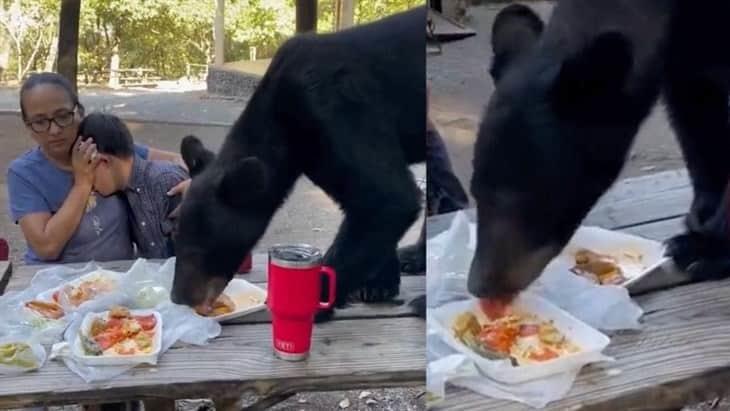 Oso sorprende a familia en un parque de Nuevo León ¡Un bolillo pal susto! (+Video) 