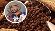 Productores de café en Veracruz se abren paso en el mercado con producto orgánico de especialidad