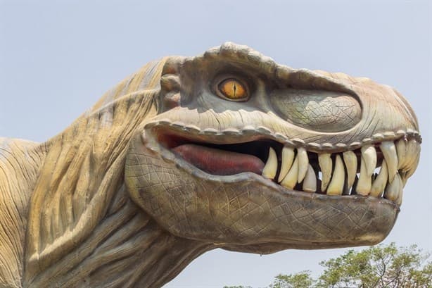 Parque de los Dinosaurios: cuánto cuesta la entrada para ver a un tiranosaurio rex en Orizaba