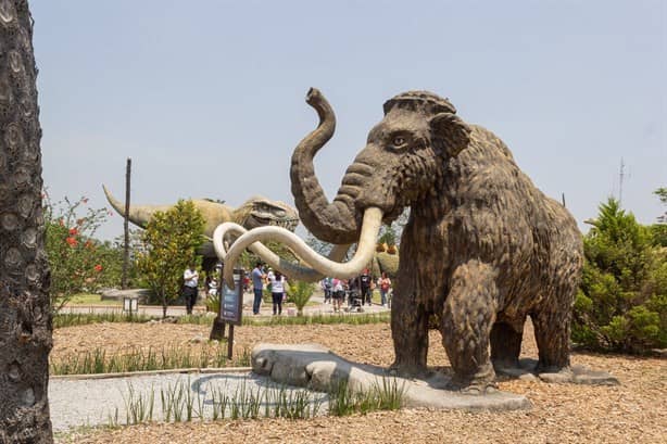 Parque de los Dinosaurios: cuánto cuesta la entrada para ver a un tiranosaurio rex en Orizaba