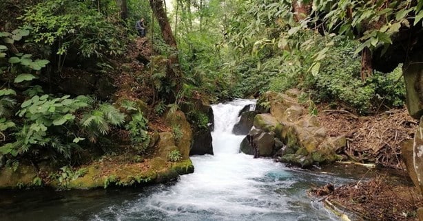 Conoce la reserva ecológica que está a una hora de Xalapa y es un paraíso