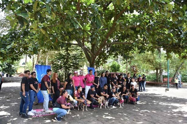 Patitas de esperanza: En Xalapa, 6 peluditos encuentran hogar en Perrotón X24