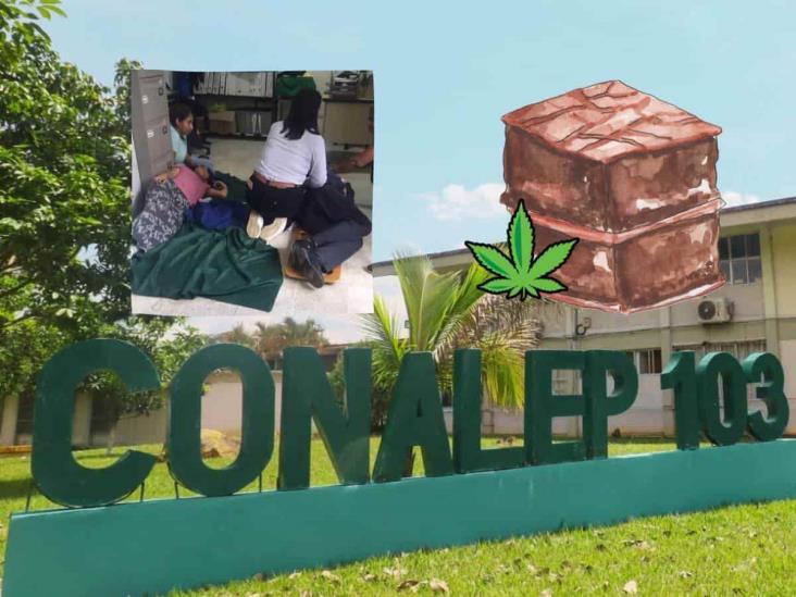 Se intoxican en Conalep de Atoyac con ‘brownies mágicos’