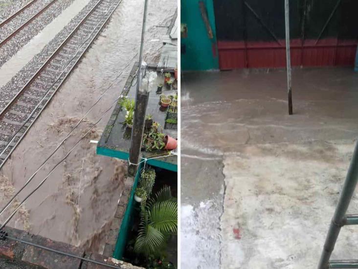 Desde hace años, esta colonia de Orizaba padece por inundaciones ¡Están hartos!