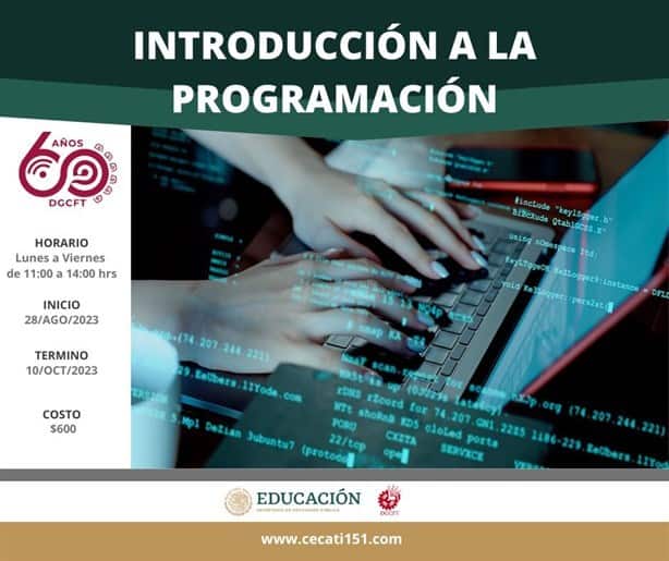 A través de CECATI 151 en Xalapa puedes acceder a estos cursos para trabajar