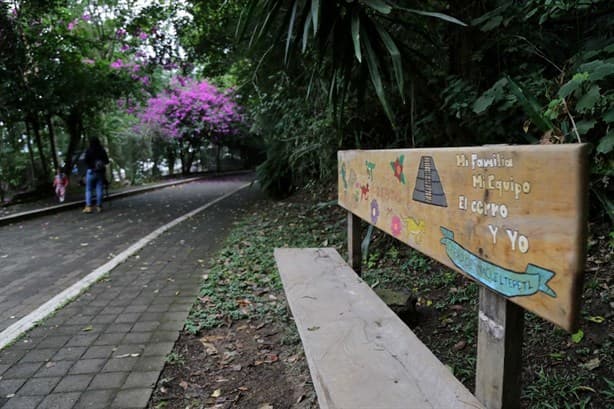 La misteriosa cueva del Cerro de Macuiltépetl, en Xalapa, ¿sólo leyenda?