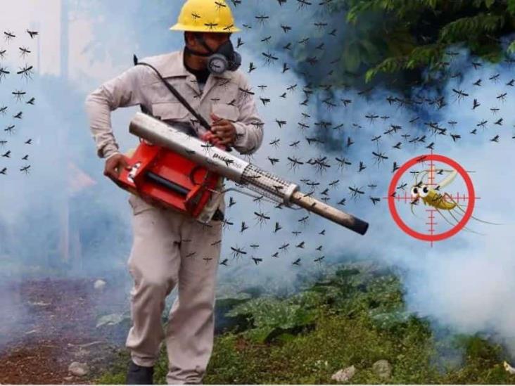 Veracruz registra 6 veces más casos de dengue este año respecto al 2022