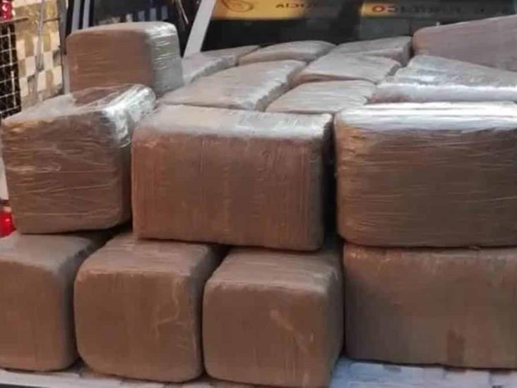 Incautan casi 600 kilos de marihuana sobre carretera de Veracruz