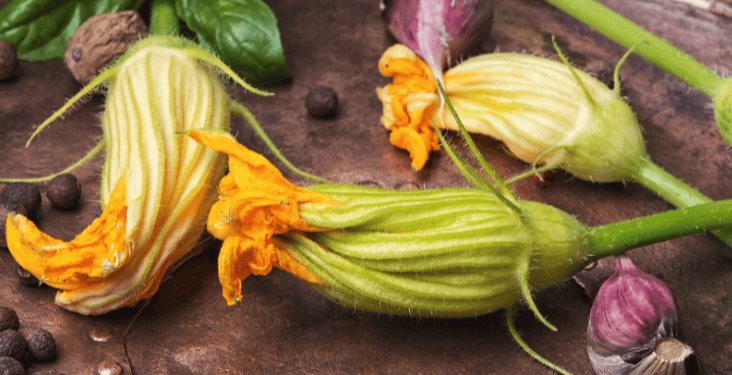 Flor de calabaza: Joya culinaria y cultural