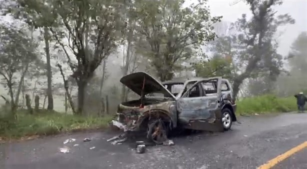 Incendio consume camioneta en la Orizaba-Zongolica (+Video)