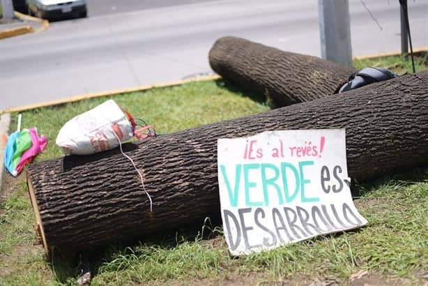 Usan a empleados de constructora como grupo de choque contra ambientalistas en Xalapa