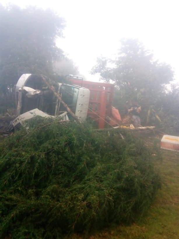 Camión de carga cae a barranco en la carretera Tequila-Tehuipango