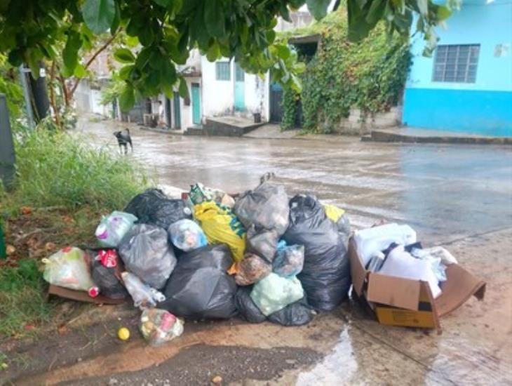 Colonias de Misantla exhiben falta de recolección de desechos