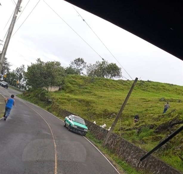 Tráiler cargado de abarrotes es saqueado por pobladores de El Fresno