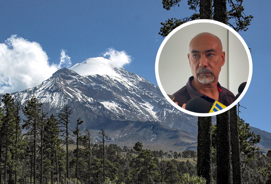 Buscan reforestar el Pico de Orizaba para combatir la tala clandestina