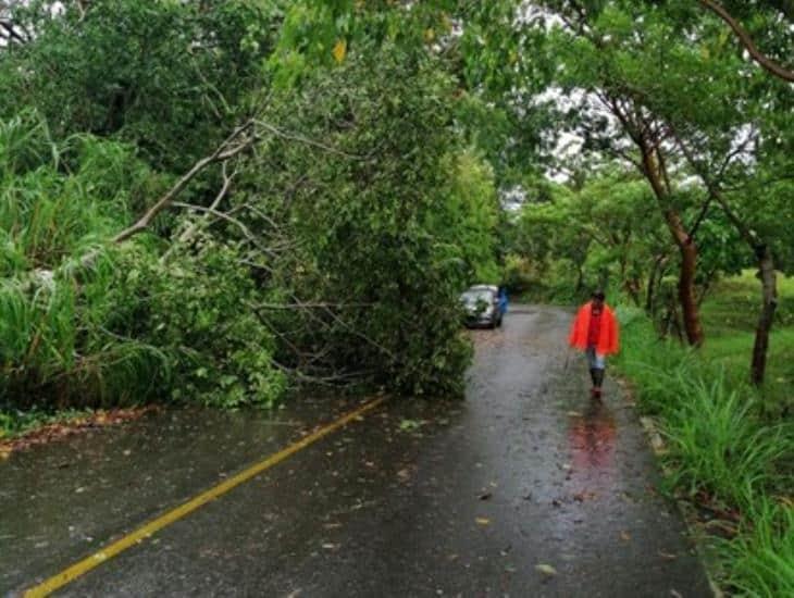 Frente frío 4 causa afectaciones en la carretera Misantla - Xalapa