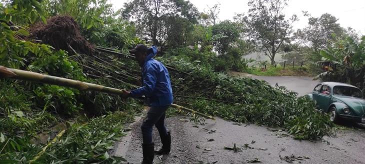 Frente frío 4 causa afectaciones en la carretera Misantla - Xalapa