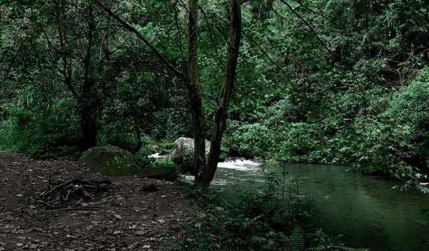 ‘Velo de novia’, la cascada virgen que esconde Veracruz