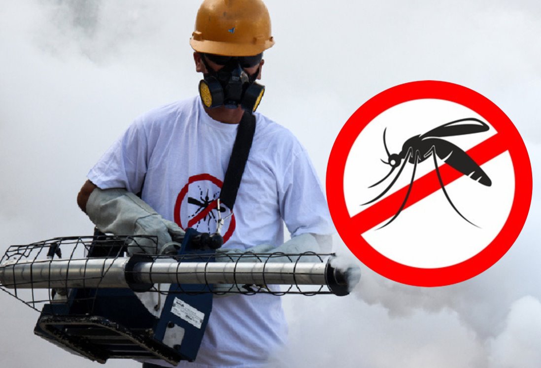 ¿Cuáles son los municipios de Veracruz con más casos de dengue?