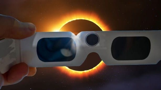 Eclipse Solar 2023: ¿Cómo afecta a las mascotas?