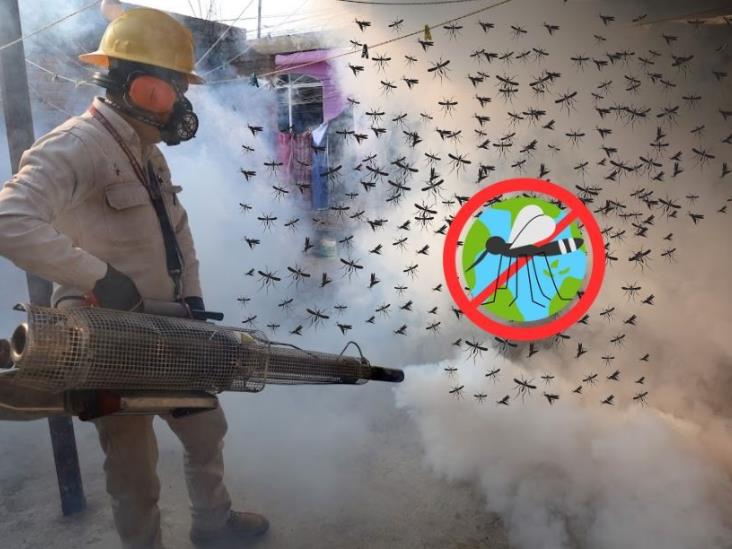 Salud lanza alerta por aumento de moscos transmisores del dengue en Veracruz