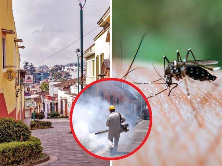 ¿Cuántos casos de dengue se reportan hoy en Xalapa?