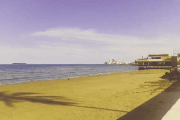 En 2023 se vivió el verano más caluroso de la historia.