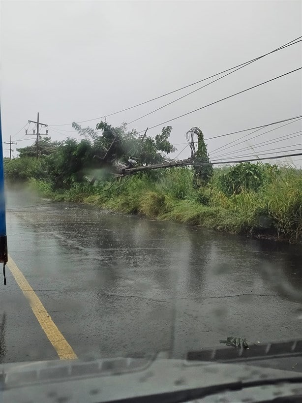 Árboles caídos y vehículos varados, primeras afectaciones del Frente Frío 6 en Veracruz