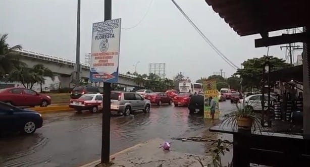 Árboles caídos y vehículos varados, primeras afectaciones del Frente Frío 6 en Veracruz