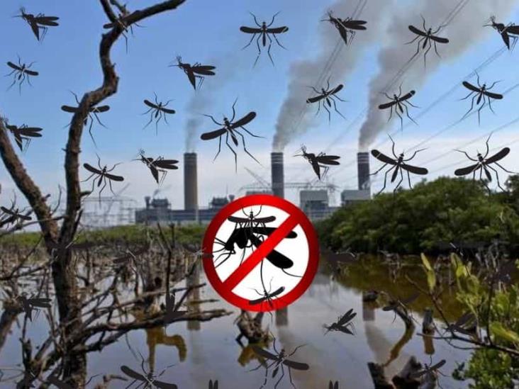 Cambio climático, aliado del dengue que impacta a Veracruz