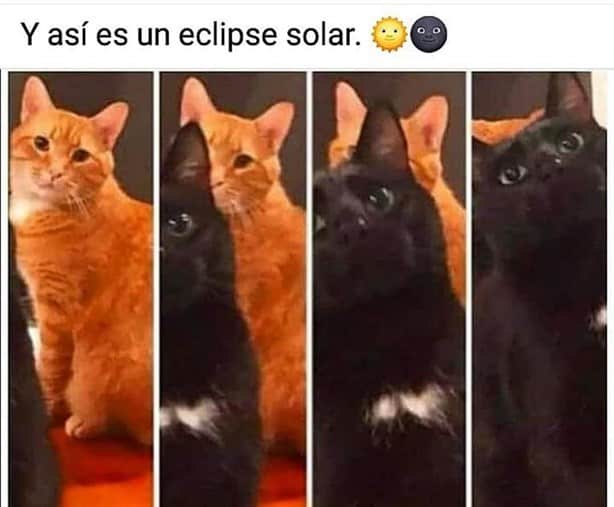 Eclipse solar: con memes, reaccionan veracruzanos a fallido espectáculo celeste