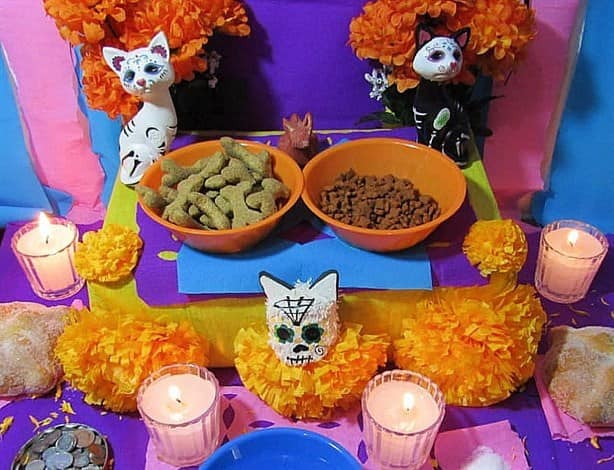 Día de muertos 2023: ¿Cuándo se pone el altar para mascotas?