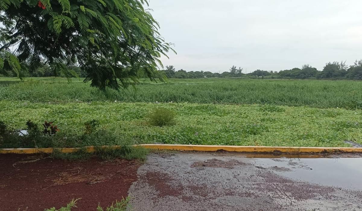 Colocaran compuertas en las lagunas de Veracruz para evitar inundaciones