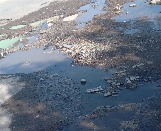 Lomas 4 de Veracruz tiene las calles llenas de baches