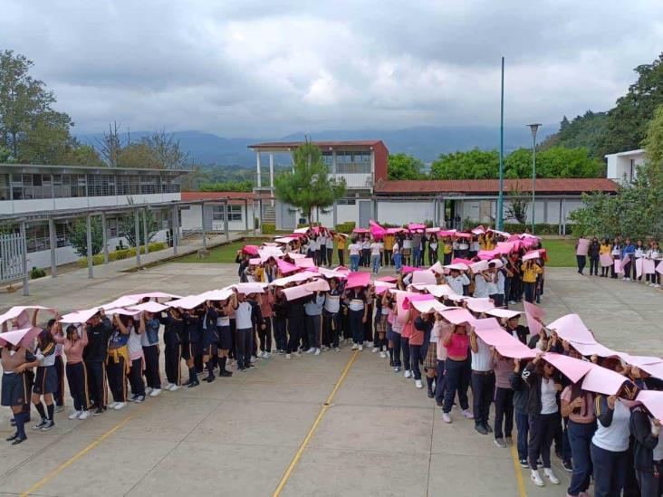 Realizan listón humano en escuela de Xalapa contra cáncer de mamá (+Video)