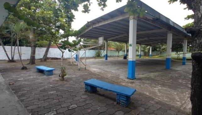 Alumnos en peligro, temen caída de árboles en escuela de Boca del Río